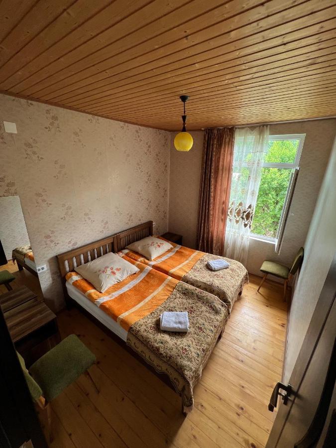 Barbara'S Eco-Cozy Guesthouse Mestia Exteriér fotografie