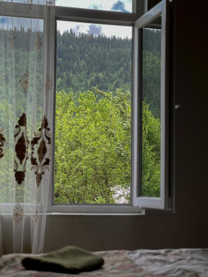 Barbara'S Eco-Cozy Guesthouse Mestia Exteriér fotografie