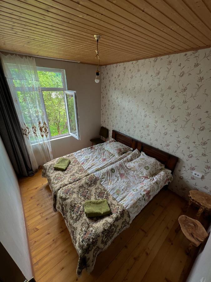 Barbara'S Eco-Cozy Guesthouse Mestia Exteriér fotografie